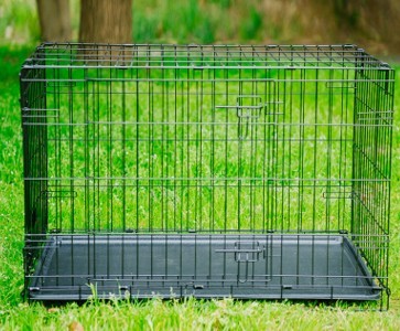 Folding Metal Dog Cage